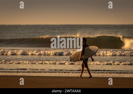 Ein Mann, der bei Sonnenaufgang im goldenen Licht an einem Strand spaziert und ein Surfbrett trägt. Curling-Wellen befinden sich im Hintergrund. Stockfoto