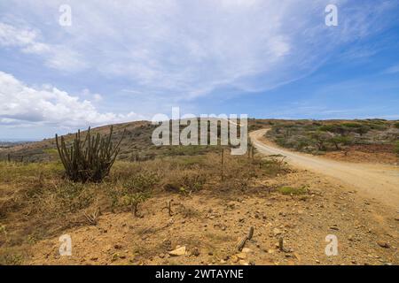 Wunderschöner Blick auf die Wüste mit Vegetation und einer gewundenen Schotterstraße, die in den Hügeln in der Ferne verschwindet. Aruba. Stockfoto