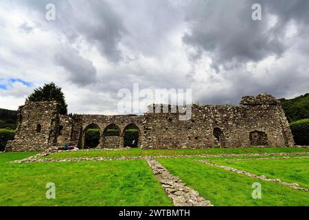 Abbey Church, Ruinen der Cymer Abbey auf einer Wiese, ehemalige Zisterzienserabtei, Dolgellau, Gwynedd, Wales, Großbritannien Stockfoto