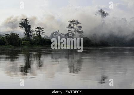 Nebel über dem Regenwald entlang des Flusses Sangha, Dzanga-Sangha Complex of Protected Areas (DSPAC), Präfektur Sangha-Mbaere, Zentralafrikanische Republik Stockfoto