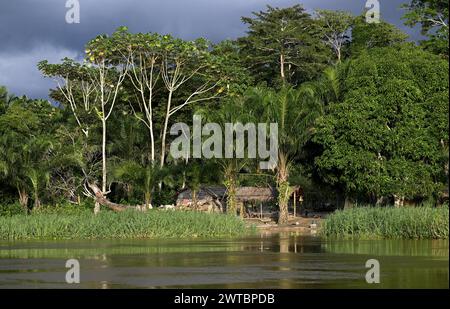 Hütte am Fluss Sangha, Dzanga-Sangha Complex of Protected Areas (DSPAC), Präfektur Sangha-Mbaere, Zentralafrikanische Republik Stockfoto