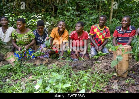 Pygmäen der Baka oder BaAka schwören auf Jagd, Jagd Magie, Netzjagd, Dzanga-Sangha Special Dichter Forest Reserve, Sangha-Mbaere Stockfoto