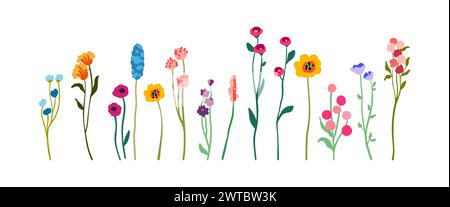 Ein Satz zart anmutiger Wildblumen auf hohen Stämmen mit Laub. Einfache Blumenelemente. Wilde Pflanzen isoliert auf weißem Hintergrund. Illustration des flachen Vektors. Stock Vektor