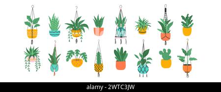 Pflanzen in hängenden Töpfen. Haus Blumentöpfe Set. Vektorabbildung. Stock Vektor