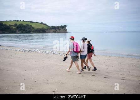 Drei Leute laufen am Strand. Shakespear Regional Park. Auckland Region. Stockfoto