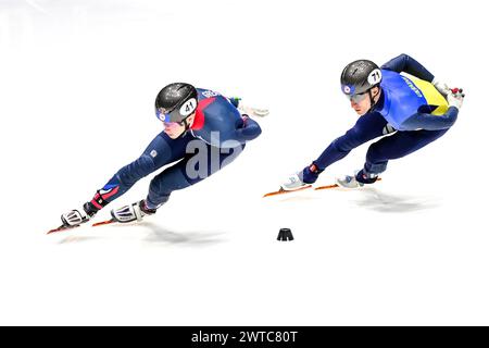 TREACY Niall GBR und HANDEI Oleh UKR traten am 2. Tag während der World Short Track Speed Skating Championship von Rotterdam am 16. März 2024 an. Foto von Phil Hutchinson. Nur redaktionelle Verwendung, Lizenz für kommerzielle Nutzung erforderlich. Keine Verwendung bei Wetten, Spielen oder Publikationen eines einzelnen Clubs/einer Liga/eines Spielers. Quelle: UK Sports Pics Ltd/Alamy Live News Stockfoto