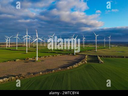 Petersdorf, Deutschland. März 2024. Die niedrige Abendsonne scheint auf die Windräder des Windparks „Odervorland“ (Luftbild mit einer Drohne aufgenommen). Quelle: Patrick Pleul/dpa/Alamy Live News Stockfoto