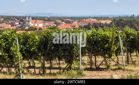 Valtice Stadt und Weinberg, Lednice und Valtice Gegend, Südmähren, Tschechische Republik Stockfoto