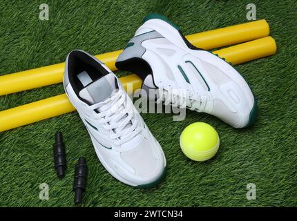 Cricketschuhe mit Gummiball und Wickeln kombiniert kreative Aufnahmen auf dem Rasen Stockfoto