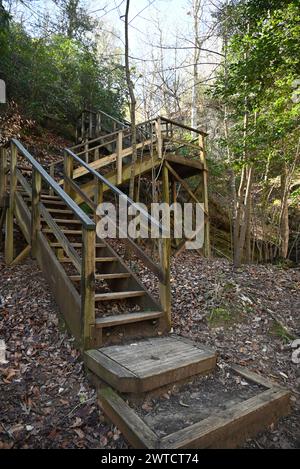 Eine Treppe führt vom Felsen zum Cape Fear River im Raven Rock State Park in North Carolina. Stockfoto