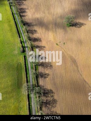 Die Frühlingssonne wirft Schatten von Bäumen auf einem gepflügten Feld aus der Luft, Worcestershire, England. Stockfoto