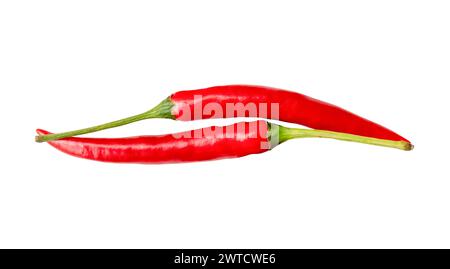 Die Ansicht von oben auf rote Chilischoten oder Cayennepfeffer ist isoliert auf weißem Hintergrund mit Schnittpfad. Stockfoto