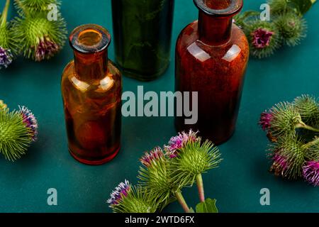 Klettenpflanze und kleine Glasflasche mit Tinkturen, Kräutermedizin Stockfoto