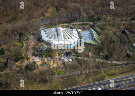 Luftbild, Delfinarium Zoo Duisburg, Besucher, Duissern, Duisburg, Ruhrgebiet, Nordrhein-Westfalen, Deutschland, Duisburg-S ACHTUNGxMINDESTHONORARx60xEURO *** Luftaufnahme, Delfinarium Zoo Duisburg, Besucher, Duissern, Duisburg, Ruhrgebiet, Nordrhein-Westfalen, Deutschland, Duisburg S ACHTUNGxMINDESTHONORARx60xEURO Stockfoto