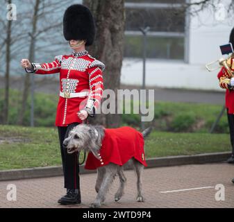 Mons Barracks, Aldershot, Hampshire, Großbritannien. März 2024. Das Regiment der Irish Guards versammelt sich in einer speziellen St. Patrick's Day Parade und Feier in Aldershot. Die Parade ist ein Höhepunkt des Jahres für dieses duale Regiment, das seine irischen kulturellen Wurzeln bewahrt. Die Parade besteht aus dem 1st Battalion Irish Guards, der No. 9 Company Irish Guards, der No. 12 Company Irish Guards, der Band of the Irish Guards, Reserven der No. 15 (Loos) Company Irish Guards (The London Guards), Veteranen und Kadetten der Irish Guards, und die unnachahmlichen Pfeifen der irischen Garde und das Regimental Irish Wolfhound Mascot, Stockfoto