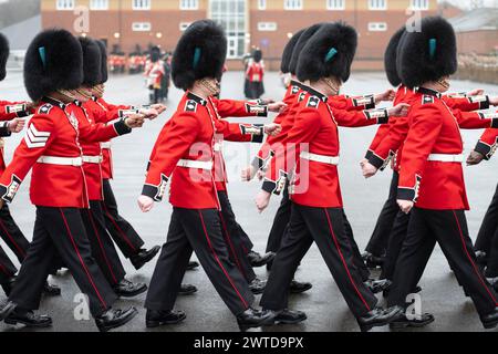 Mons Barracks, Aldershot, Hampshire, Großbritannien. März 2024. Das Regiment der Irish Guards versammelt sich in einer speziellen St. Patrick's Day Parade und Feier in Aldershot. Die Parade ist ein Höhepunkt des Jahres für dieses duale Regiment, das seine irischen kulturellen Wurzeln bewahrt. Die Parade besteht aus dem 1st Battalion Irish Guards, der No. 9 Company Irish Guards, der No. 12 Company Irish Guards, der Band of the Irish Guards, Reserven der No. 15 (Loos) Company Irish Guards (The London Guards), Veteranen und Kadetten der Irish Guards, und die unnachahmlichen Pfeifen der irischen Garde und das Regimental Irish Wolfhound Mascot, Stockfoto