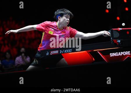 Singapur. März 2024. Wang Chuqin aus China trifft beim World Table Tennis Singapore Smash 2024 in Singapur am 17. März 2024 im Einzelfinale der Männer gegen Liang Jingkun aus China. Quelle: Dann Chih Wey/Xinhua/Alamy Live News Stockfoto