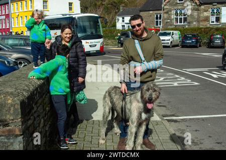 Sonntag, 17. März 2024 Bantry West Cork, Irland; Bantry Held IT’s St. Patrick’s Day Parade heute. Mehr als 20 Wagen aus Schulen, Clubs und Unternehmen nahmen mit Florrie O’Driscoll als Grand Marshall und unter der Leitung der Ballingeary Pipe Band Teil. Mehr als 200 Menschen schauten sich die Parade an, die MC’d von Gearoid O’Leary war. Saoirse, ein 8 Monate alter irischer Wolfhound, nahm an der Parade mit der Familie McKenna aus Durrus Teil. Credit ED/Alamy Live News Stockfoto