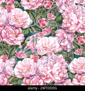 Hintergrund mit Zweigen Aquarellrosa Rosen Stockfoto