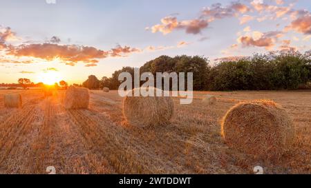 Heuballen auf einem Feld in einem goldenen Sonnenuntergang Stockfoto