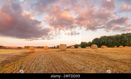 Heuballen auf einem Feld in einem goldenen Sonnenuntergang Stockfoto