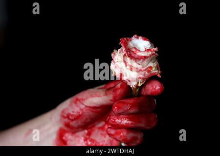 Blutige Hand, die eine weiße Blume auf schwarzem Hintergrund hält. Halloween-Horror-Konzept Stockfoto