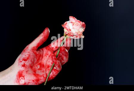 Blutige Hand, die eine weiße Blume auf schwarzem Hintergrund hält. Halloween-Horror-Konzept Stockfoto