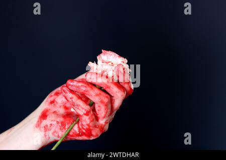 Blutige Hand, die eine weiße Blume auf schwarzem Hintergrund hält. Halloween-Horror-Konzept Stockfoto