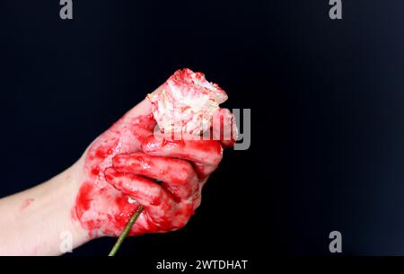 Blutige Hand, die eine weiße Blume auf schwarzem Hintergrund hält. Halloween-Horror-Konzept Stockfoto