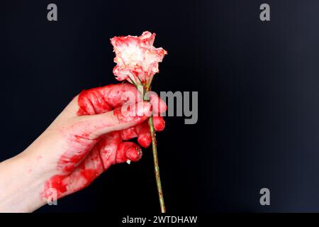 Blutige Hand, die eine weiße Blume auf schwarzem Hintergrund hält. Halloween-Horror-Konzept Stockfoto