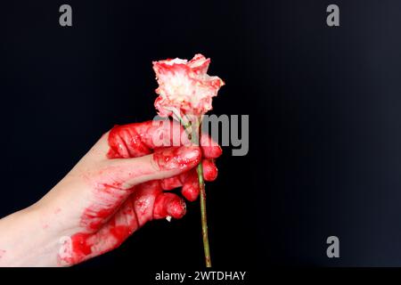 Blutige Hand, die eine weiße Blume auf schwarzem Hintergrund hält. Halloween-Horror-Konzept Stockfoto