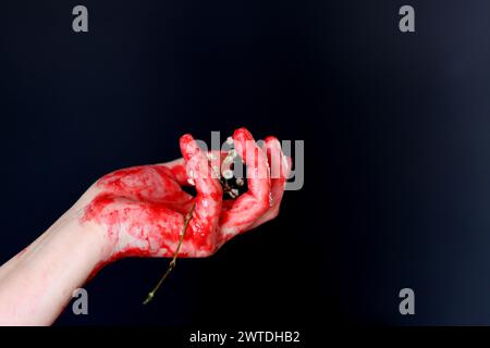 Blutige Hand, die eine weiße Blume auf schwarzem Hintergrund hält. Halloween-Horror-Konzept Stockfoto