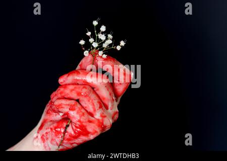 Blutige Hand, die eine weiße Blume auf schwarzem Hintergrund hält. Halloween-Horror-Konzept Stockfoto