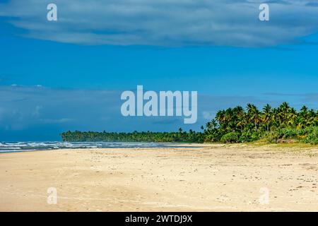 Paradiesischer Strand umgeben von Kokospalmen in Serra Grande an der Südküste von Bahia Stockfoto