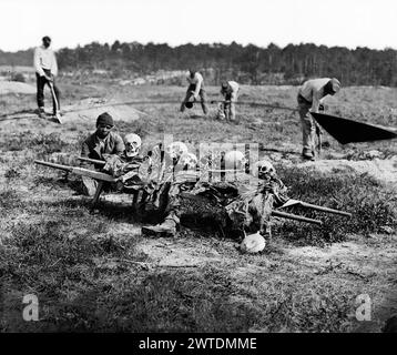 Cold Harbour, Virginia. Afrikanische Amerikaner sammeln Knochen der Soldaten in der Schlacht getötet Stockfoto