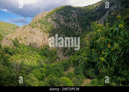 les Gorges et la Tour de Borne au pied du petit Village de Borne dans le Vercors Stockfoto