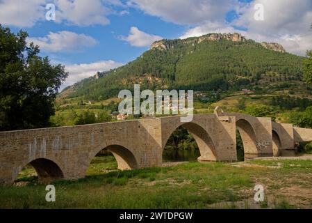 le pont du Village de quezac en lozere - die Dorfbrücke bei Quezac in lozere occitanie Stockfoto