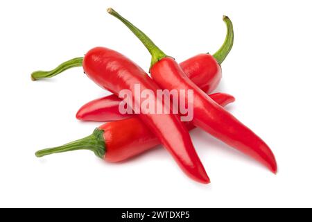 Haufen von ganzen frischen rohen rohen rohen Paprika aus nächster Nähe isoliert auf weißem Hintergrund Stockfoto