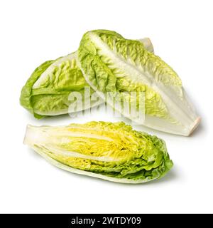 Kleiner ganzer und halber frischer roher Romaine-Salat isoliert auf weißem Hintergrund aus nächster Nähe Stockfoto