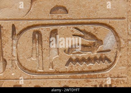 Ägypten, Sakkara, in der Nähe des Unas-Damms, Ruinen der Khenu-Mastaba: Unas cartouche. Stockfoto