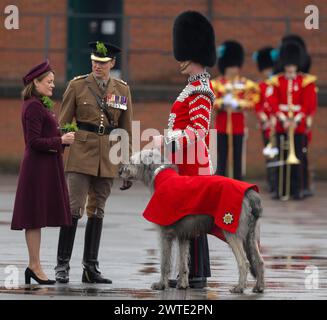 Mons Barracks, Aldershot, Hampshire, Großbritannien. März 2024. Das Regiment der Irish Guards versammelt sich in einer speziellen St. Patrick's Day Parade und Feier in Aldershot. Die Parade ist ein Höhepunkt des Jahres für dieses Zweirollen-Regiment. Lady Ghika, Ehefrau des Regimentsleutnant Colonel, Major General Sir Christopher Ghika, überreicht Shamrock an Offiziere, Seamus und Haftbefehler, die es wiederum entlang der Reihen ausstellen. Die Parade endet mit einem vormarsch, bei dem der Oberstleutnant des Regiments, Generalmajor Sir Christopher Ghika, den Gruß abnimmt. Kredit: Malcolm Park/Alamy Stockfoto