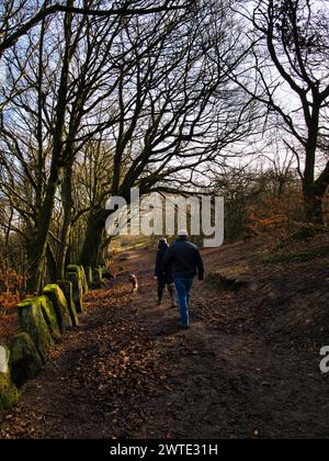 Ein paar Leute gehen mit einem Hund auf einem Weg durch einen Herbstwald. Die Leute haben den Rücken zur Kamera und es ist ein schöner Tag. Stockfoto