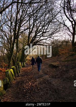 Ein paar Leute gehen mit einem Hund auf einem Weg durch einen Herbstwald. Die Leute haben den Rücken zur Kamera und es ist ein schöner Tag. Stockfoto