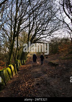 Ein paar Leute gehen mit einem Hund auf einem Weg durch einen Herbstwald. Die Leute haben den Rücken zur Kamera und es ist ein schöner Tag. Stockfoto