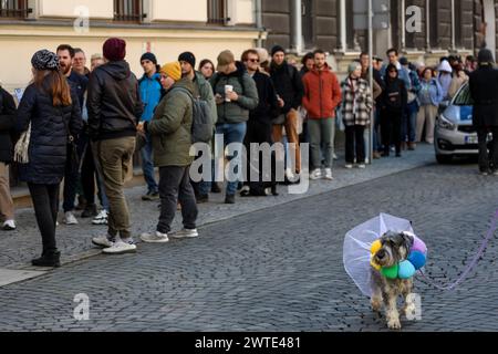 Krakau, Polen, 17. März 2024. Der Hund eines Demonstranten trägt einen weißen Rock der Ballerina, um Reinheit und Gefangenschaft zu symbolisieren, da viele Russen während eines Protestes vor dem russischen Konsulat in Krakau am dritten Tag der russischen Präsidentschaftswahlen um Mittag vor den Wahlmasten im Konsulat anstehen. Der russische Oppositionsführer, der vor kurzem im Gefängnis starb, Alexej Nawalny und dann seine Frau Julia Nawalna, riefen die Opposition an, um am 17. März Mittag zu den Wahlumfragen zu kommen, um dem russischen Präsidenten Wladimir Putin die Zahl der Gegner seiner Regierung zu zeigen. Es ist illegal und gefährlich, gegen ag zu protestieren Stockfoto