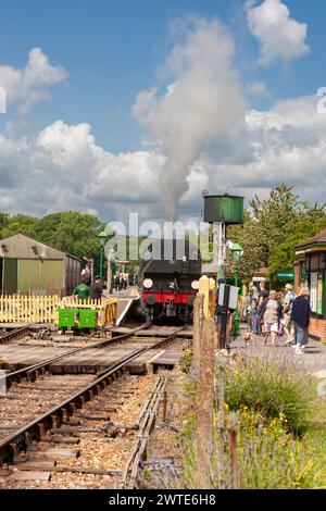 Das Heck der Dampflokomotive IVATT KLASSE 2, Nr. 41298, bereitet sich darauf vor, einen Zug aus der Havenstreet Station auf der Isle of Wight Steam Railway auf der Isle of Wight zu holen Stockfoto