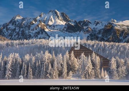Solisko Peak und Hotel Patria in Strbske pleso, hohe Tatra, Slowakische republik. Winter Berge und Bäume. Beliebtes Reiseziel. Stockfoto