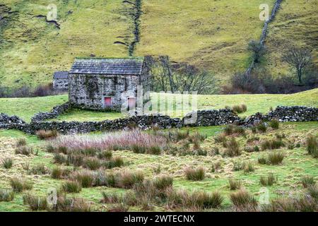 Steinscheunen und Trockenmauern im Swaledale, Yorkshire Dales National Park. Der Fernwanderweg von Coast to Coast führt durch Swaledale. Stockfoto