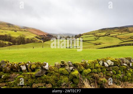 Eine moosbeschichtete Trockenmauer und grüne Felder im Swaledale, Yorkshire Dales National Park Stockfoto