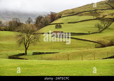 Swaledale Steinscheunen und grüne Felder an einem nebeligen Wintermorgen. Berühmte Trockenmauern säumen die Felder und Schafe grasen auf den oberen Hängen. Stockfoto